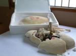 すだち鶏塩釜焼き